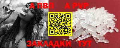 прущие грибы Обнинск