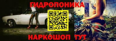 прущие грибы Обнинск
