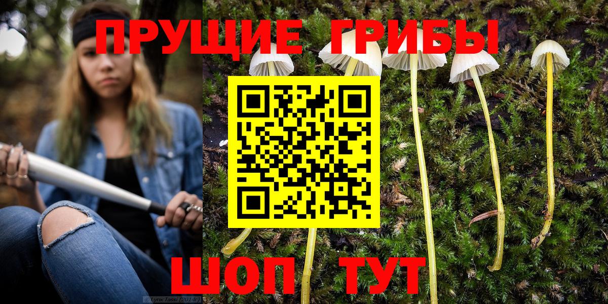 Псилоцибиновые грибы MAGIC MUSHROOMS  Вход с VPN  Сызрань 
